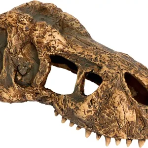 Exo Terra T-Rex koponya, M Gyors szállítás