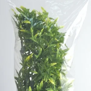 Gyors szállítás Zoo Med Bolivian Croton műanyag növény, M/46cm