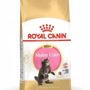 Royal Canin Kitten Maine Coon macskatáp 400 g Vásárlói kedvenc