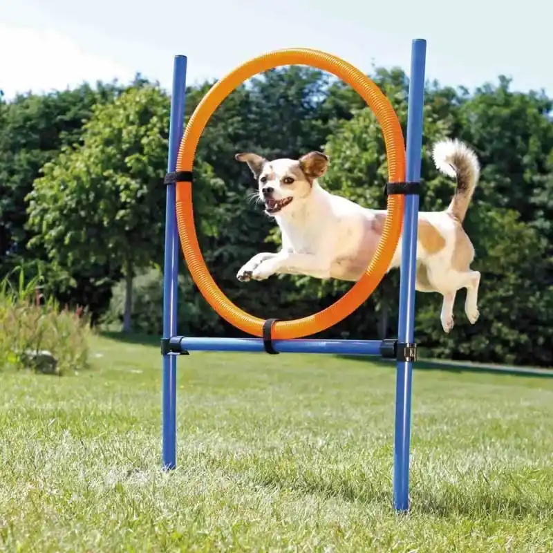 Korlátozott ajánlat TRIXIE DOG ACTIVITY JÁTÉK AGILITY A GYŰRŰ