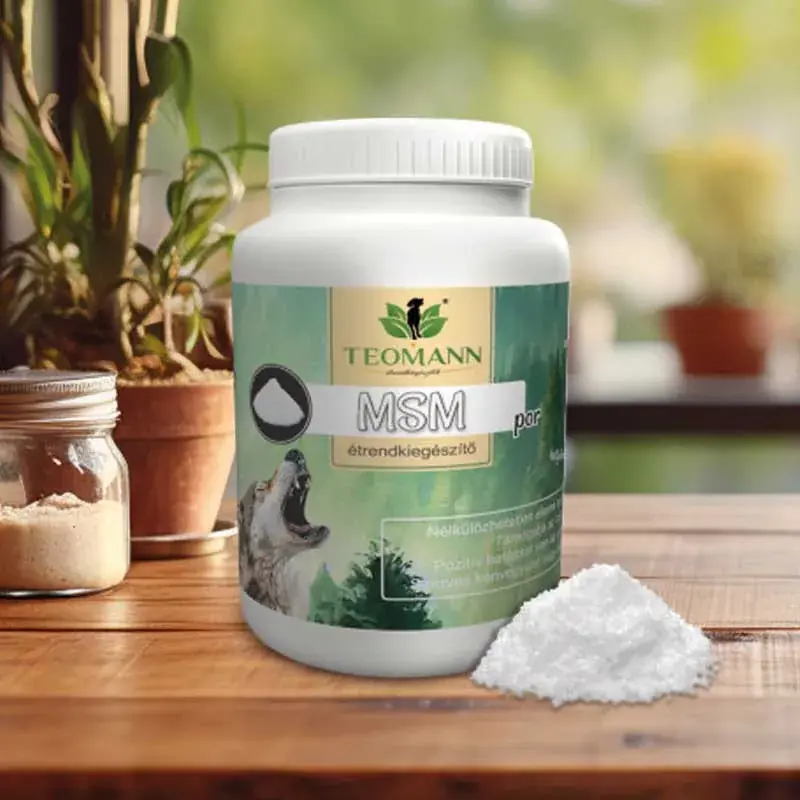 Nézd meg most TEOMANN MSM POR 100G