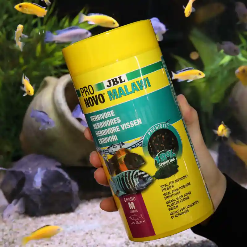 JBL ProNovo Malawi grano 1l granulált díszhaltáp Expressz kézbesítés