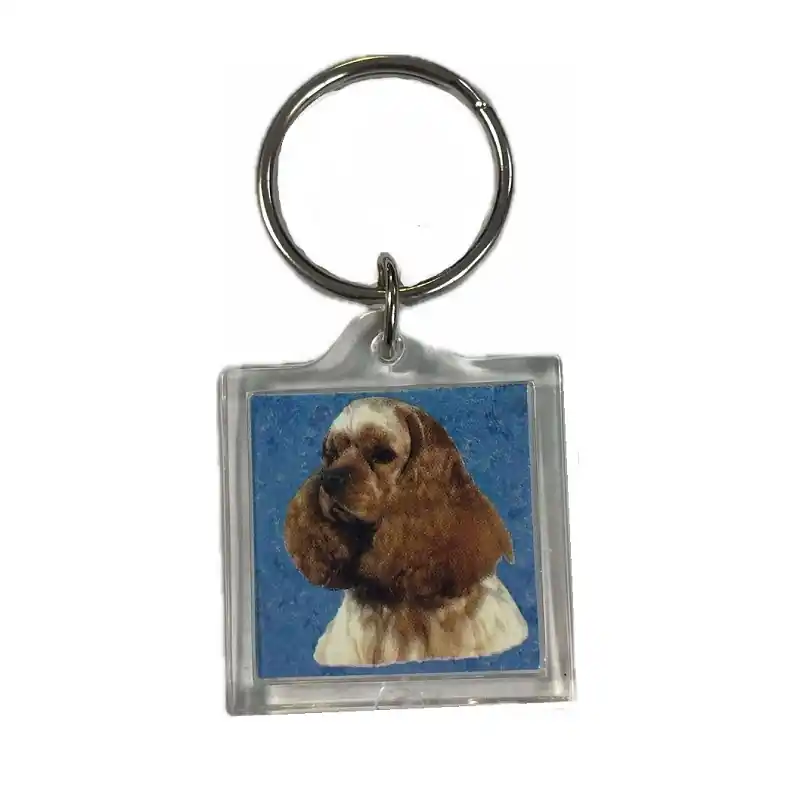 Alacsony ár Cavalier king charles spániel képes kulcstartó