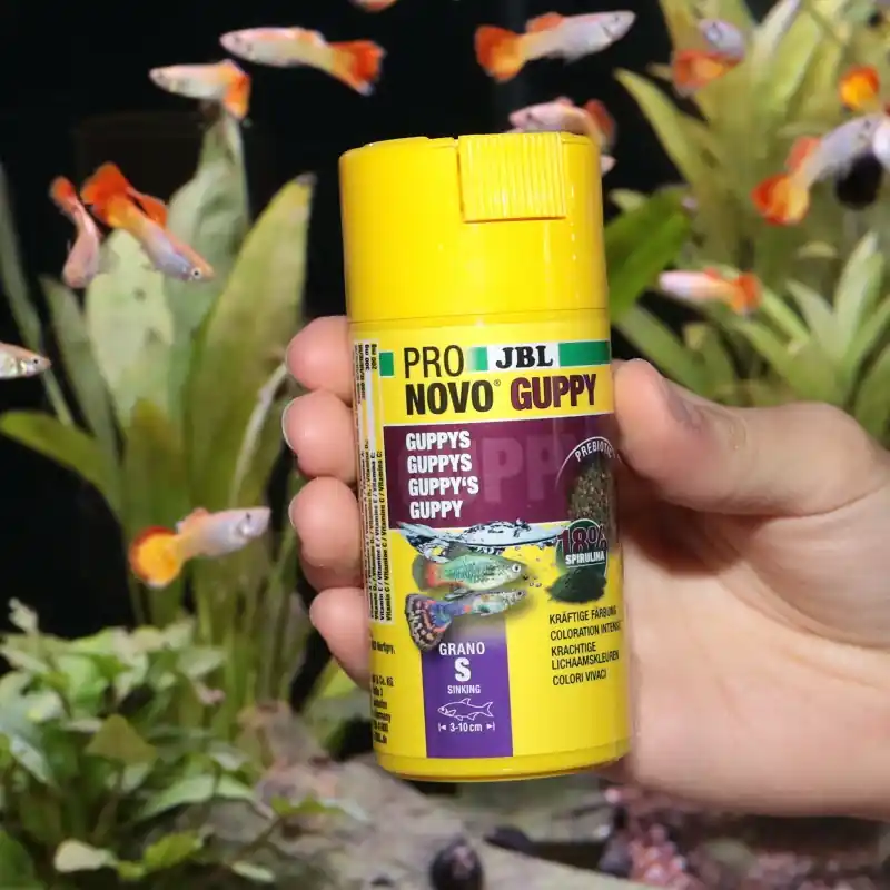 JBL ProNovo Guppy grano S 100ml Legkelendőbb