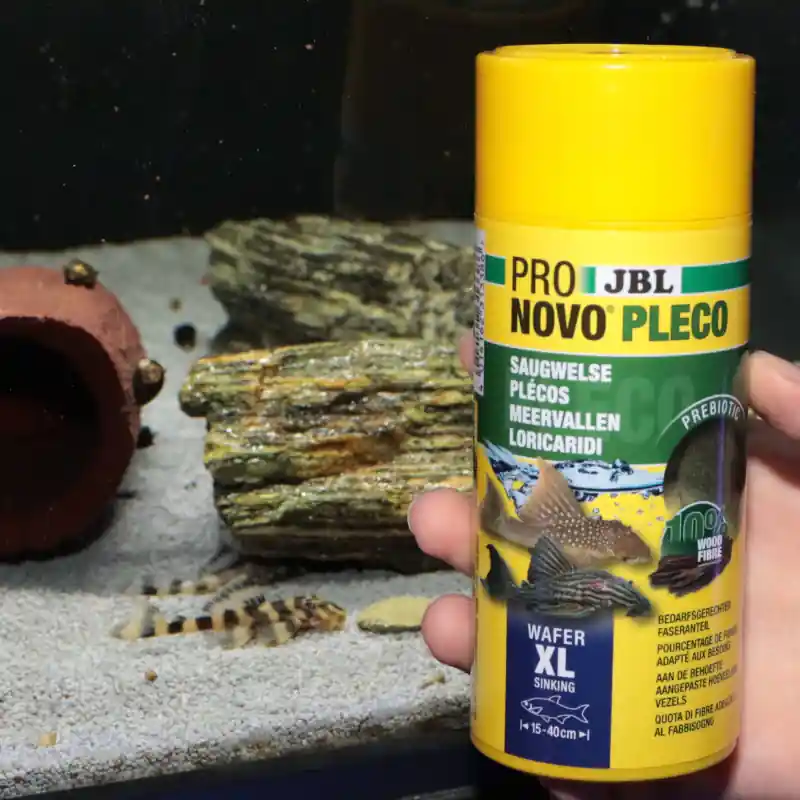Szezonális akció JBL ProNovo Pleco XL 250ml tablettás haltáp