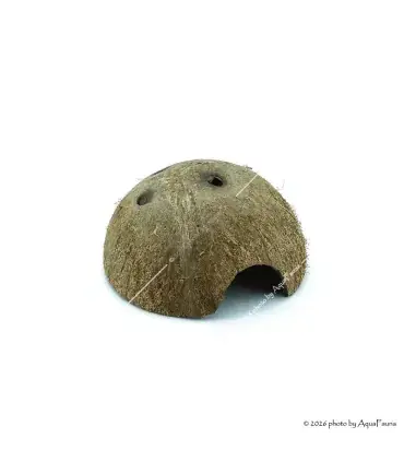 Repti Planet Coconut shell - kókuszhéj ház (L) terráriumi állatok részére Kiárusítás