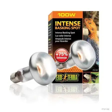 Újdonság Hagen Exo Terra Intense Basking Spot - izzó sütkérező területekhez - 100W (2138)