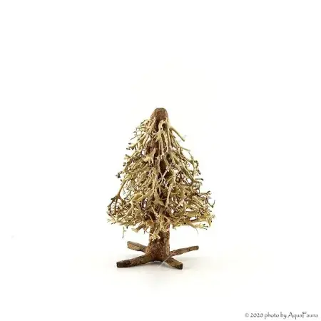 Bonsai Christmas Tree M dekorfa - 15x20x15 cm Ajánlat